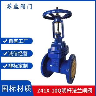 Z41X 10Q球磨铸铁软密封明杆法兰闸阀弹性座封闸阀明杆闸阀DN80