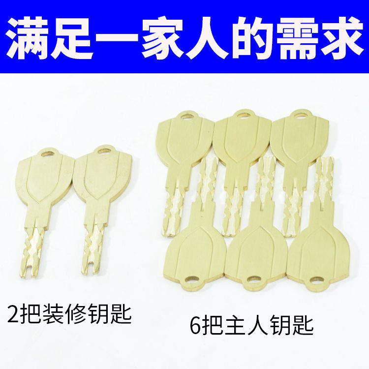 老式春天铸诚防盗门老九型通用型C级锁芯齿轮9型盼盼门春天门C2