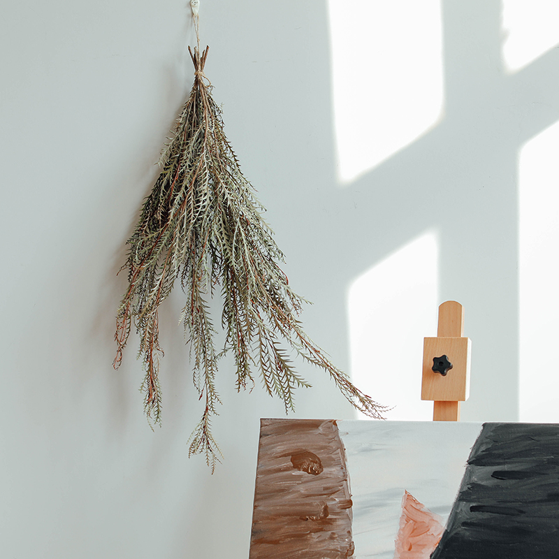 羊齿叶天然真花剑齿叶干花干树枝手捧花材料花艺软装干燥植物