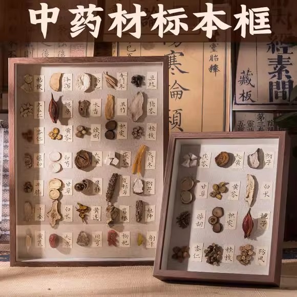 中药标本养生汤摆件相框