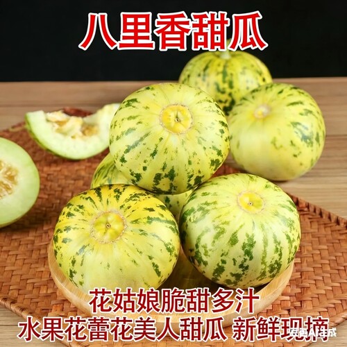 新鲜甜瓜孕妇水果甜香瓜花蕾正宗八里花美人甜瓜现摘现发新鲜采摘