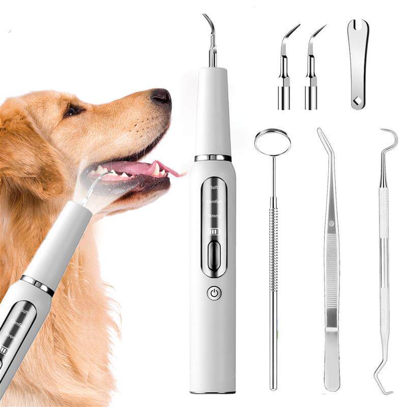 家用宠物超音波洁牙器狗狗电动洁牙仪家用美牙仪牙牙垢结石去厂家