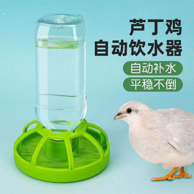 鹦鹉专用自动下料器饮水机喂食器芦丁鸡食盒水壶虎皮牡丹饲料盒