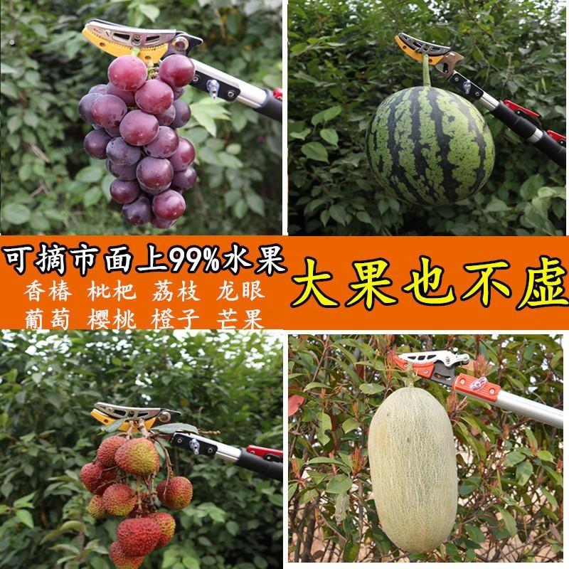 摘果器日式伸缩高枝剪高空剪枝剪采摘荔枝龙眼枇杷