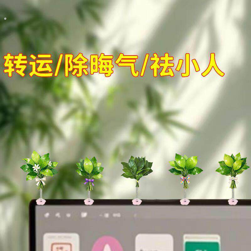 运气提升摆件柚子叶去晦气饰品弹簧摇摇转运幸运亚克力创意装饰品