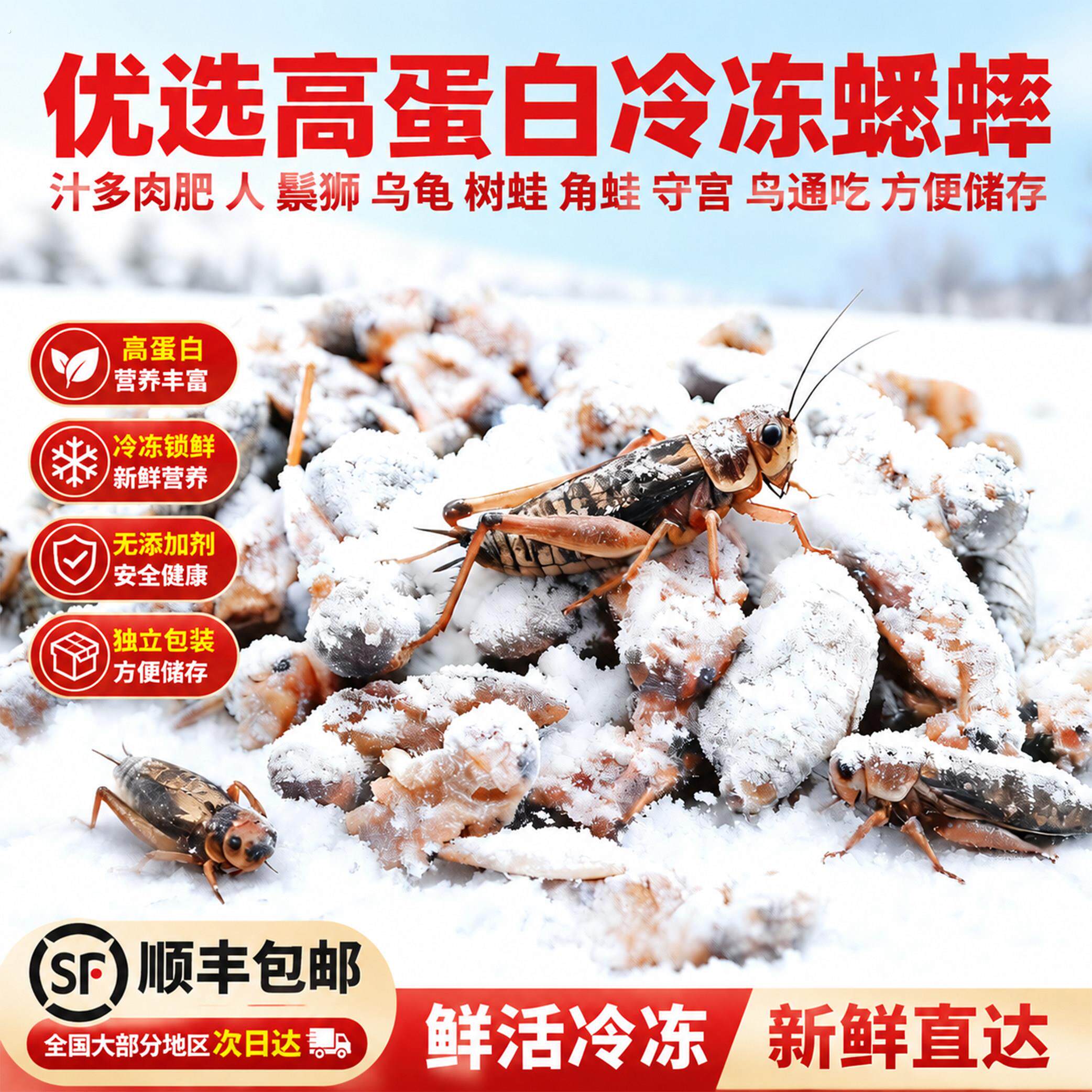 冻油葫芦冰冻白蟋蟀豹纹肥尾爬宠饲料非活体饲料方便省时解冻即用