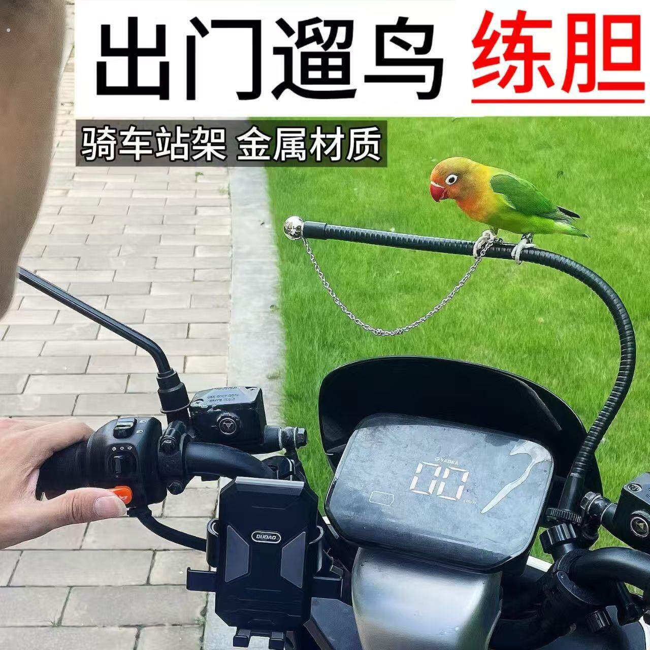 鹦鹉万能站架拉便便支架站杆定点排便站架自行车电动车遛鸟站架