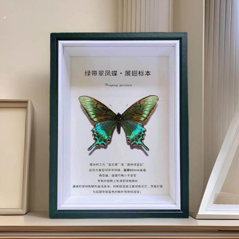 木质中空玻璃立体相框蝴蝶昆虫果实标本装裱摆台黑色展示空画框