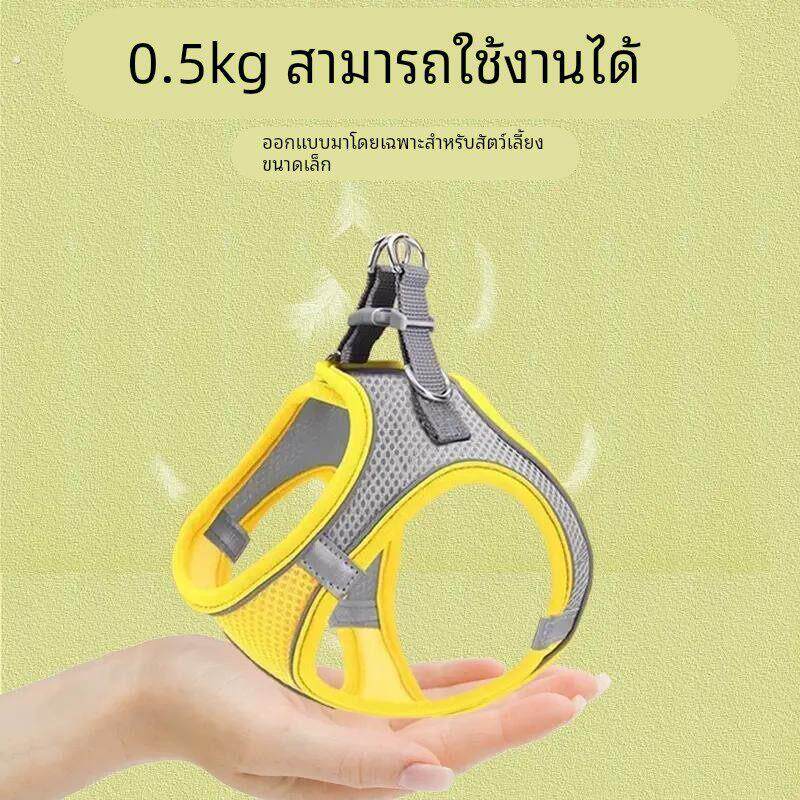 小体犬幼犬专用牵引绳超小体约克夏胸背茶杯犬1斤狗绳小鹿犬狗狗