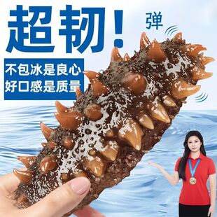 大连即食海参送礼孕妇老人滋补营养个大只Q弹高品质国标不包冰5头