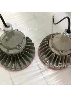BZD180-102 防爆免维护 LED照明灯 BZD130