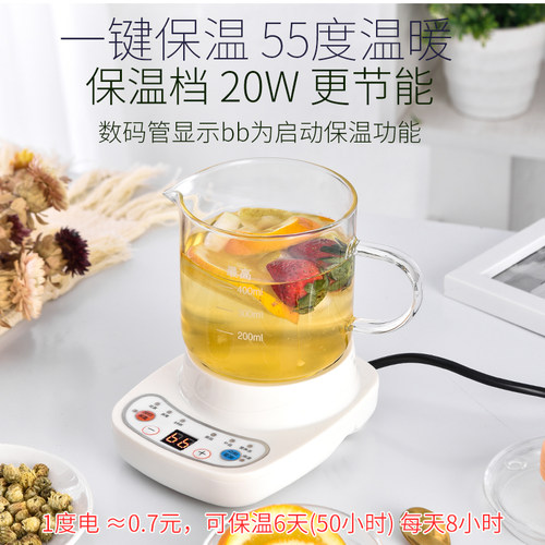 小功率宿舍迷你多功能养生壶小型mini杯炖煮隔水炖单身烧水一人1