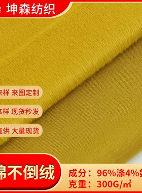 柯桥仿棉不倒绒针织面料秋冬弹力素色涤不倒绒保暖内衣裤服装面料