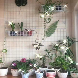 网片网格挂钩铁网货架白色网片格子网架铁丝铁网格饰品展示架上墙