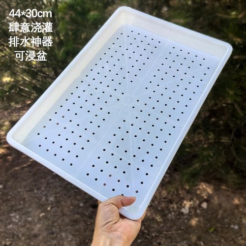 新款镂空托盘 育苗框 漏水透气 多肉花盆整理框R育苗盆不积水白