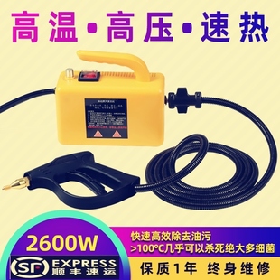 110V商用大功率蒸汽清洁机高温高压工业设备油污餐厅清洗蒸气洗车
