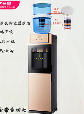 冷热饮水净过桶自来水直饮净水体