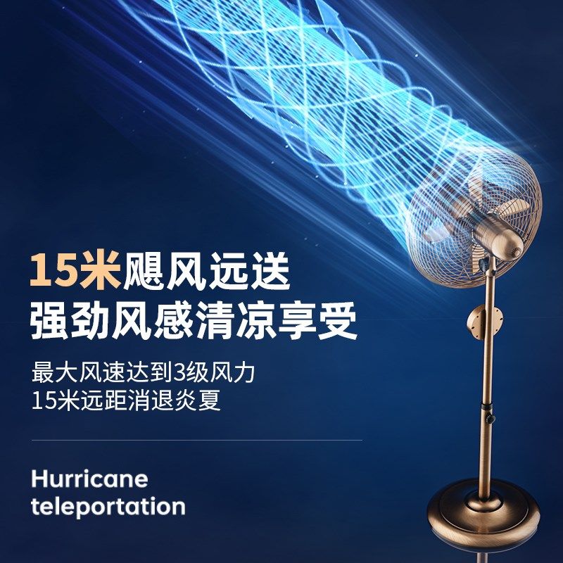 林边电风扇家用落地扇客厅大风力强劲商用升降仿复古全金属工业扇