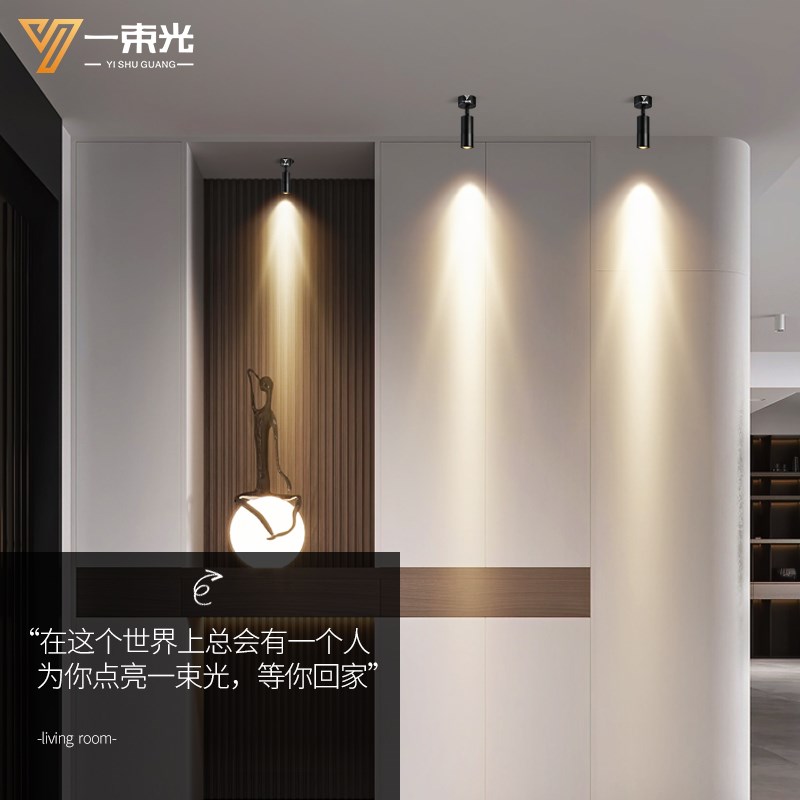 一束光聚光射灯2700K古典气氛复古氛围造型轨道式店铺专用饰品灯