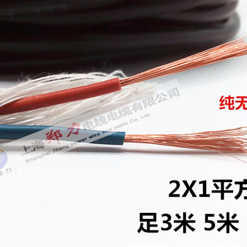 国标1平方5米电动工具电源线电镐电钻角磨机防冻插头线橡胶软电缆