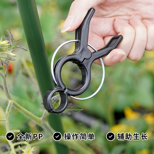 西红柿支撑架种番茄夹架子黄瓜蔬菜固定植物吊秧夹丝瓜爬藤架支架
