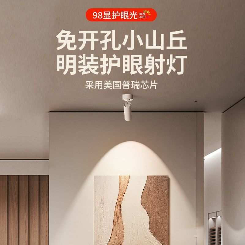 明装射灯可调角度家用小山丘吸顶式轨道灯聚光射灯LED天花灯筒灯