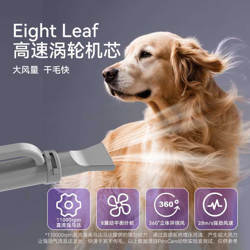 跨境宠物吹水机狗狗吹风机大功率低噪音大型犬金毛泰迪宠物烘干箱