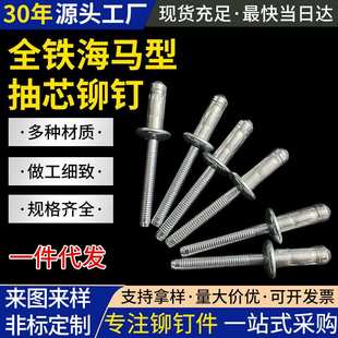 亿隆铆钉全铁海马拉钉抽芯铆钉铁拉钉圆头铆钉拉铆钉铝制铆钉厂