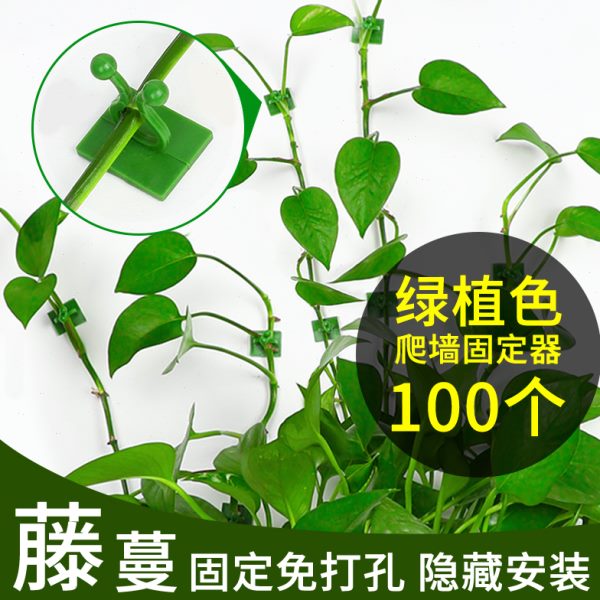 绿箩挂钩攀爬神器无痕卡杆爬藤绿萝器上爬固定器夹子强力粘绿植