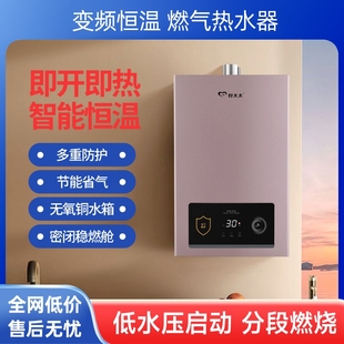 平衡式 燃气热水器恒温强排式 低水压液化气天然气家用10升节能速热