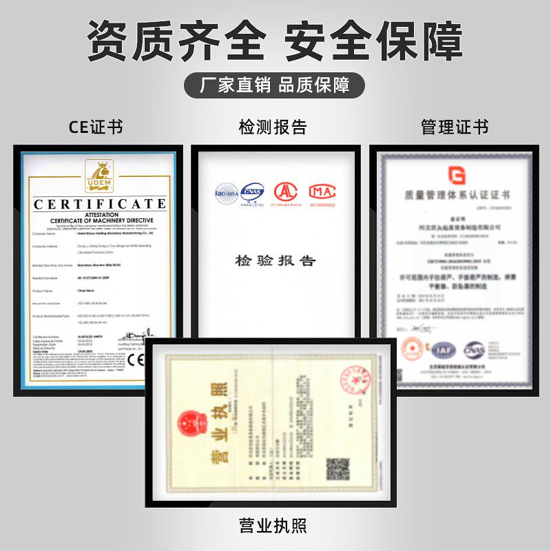 世友环链电动葫芦吨吨吨吨吨导链提升链条式跑
