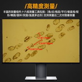 奥斯微 三目体视显微镜解刨镜实验室工厂显微镜倍带屏测量冲压电