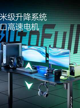 傲风 A4单桌【毫米级升降进口实木芯】升降电竞桌 电脑桌AFA403