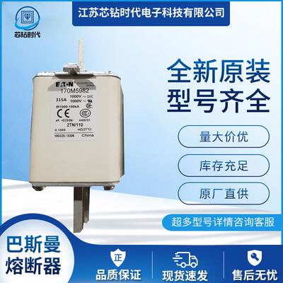 170M5981 170M5982 170M5983 巴斯曼BUSSMANN熔断器保险丝