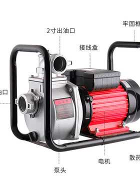 奥诚电动抽油泵12V24V220伏自吸大功率汽油泵1寸2寸3寸导油泵