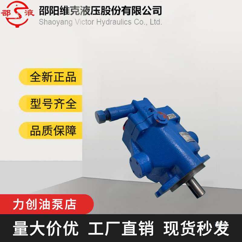 邵阳维克PVB5-LS-20-C-11-PRC柱塞泵 RSW-20-CC PVB6 PVB10 PVB15