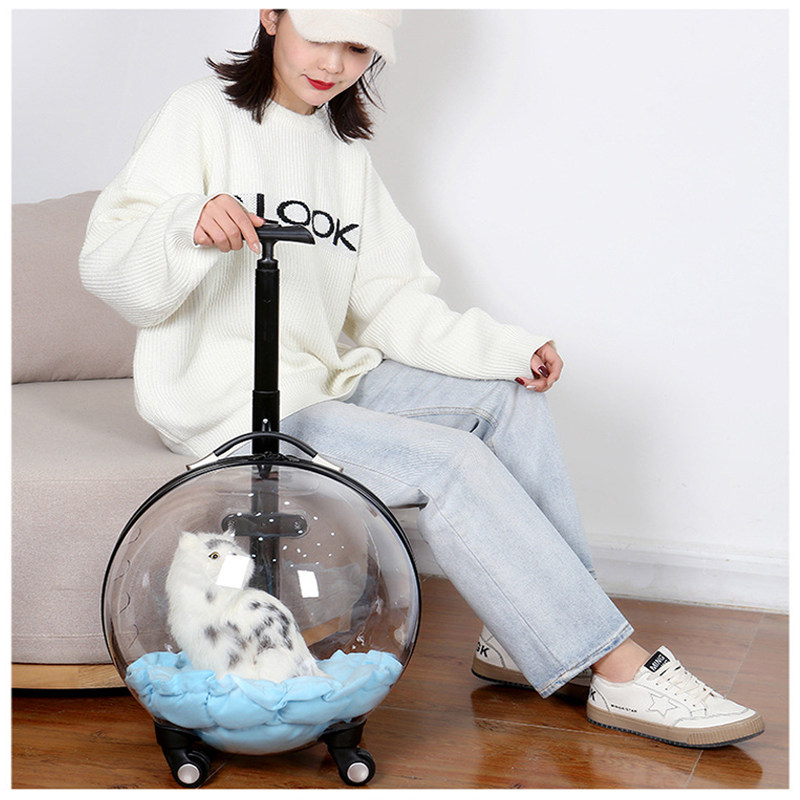 宠物拉杆箱猫包外出多功能猫咪泡泡箱透明手提太空舱狗狗背包用品,宠物/宠物食品及用品,背包/箱包,淘宝优惠券,粉丝福利购,淘宝优惠卷
