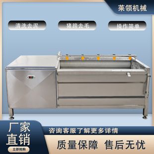 350型微冻肉切丁机 厚薄可调地瓜干切条机 商用土豆萝卜切块机器