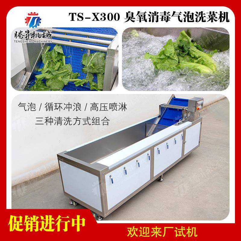 优质果蔬气泡清洗机 果蔬消毒清洗机 橙子柚子喷淋清洗机 优质果蔬气泡清洗机 果蔬消毒清洗机 橙子柚子喷淋清洗机