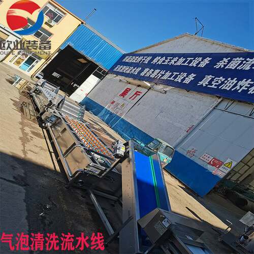 设备厂家 大型山楂清洗机机 多功能果蔬清洗机 终生售后