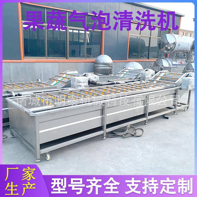 桑葚果蔬气泡清洗机 蓝莓杨梅加工清洗风干线 蔬菜洗菜机 洗果机