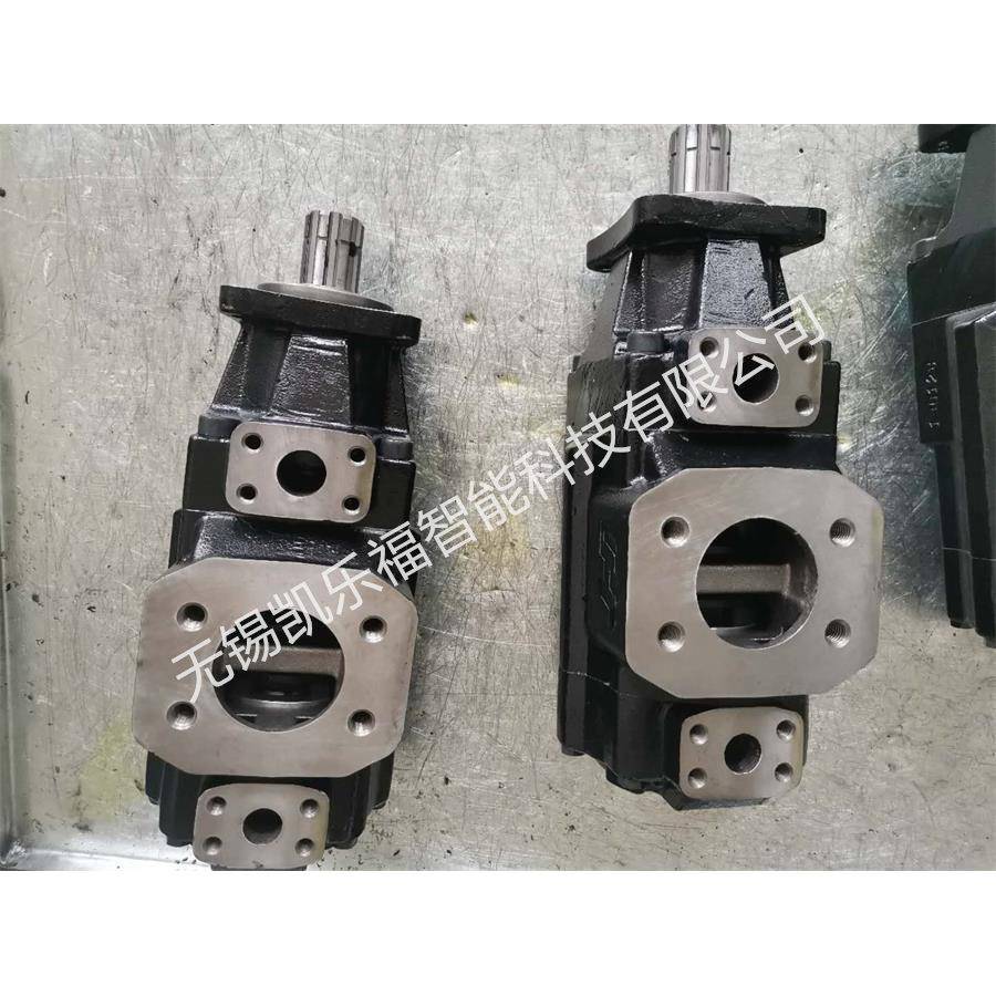 T6GCC-B31-B20,T6GCC-B31-B17压塑机油泵 叶片泵厂家