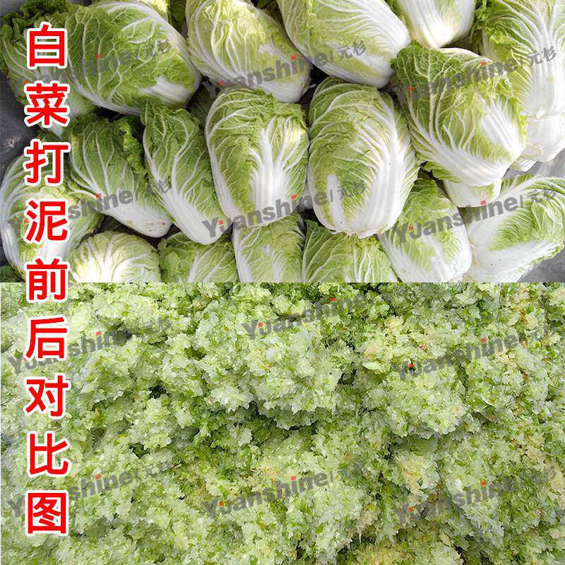 厂家现货台湾果蔬打碎机 芒果枣泥打泥机 鸭蛋黄打碎机