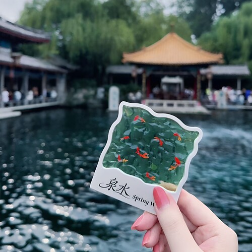济南泉水！趵突泉锦鲤冰箱贴打卡