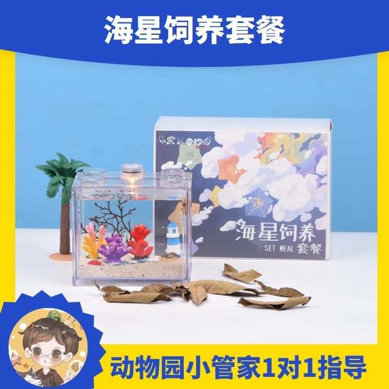 【新款海星饲养套餐】桌面宿舍海洋海燕海星小宠物儿童生日礼物盒