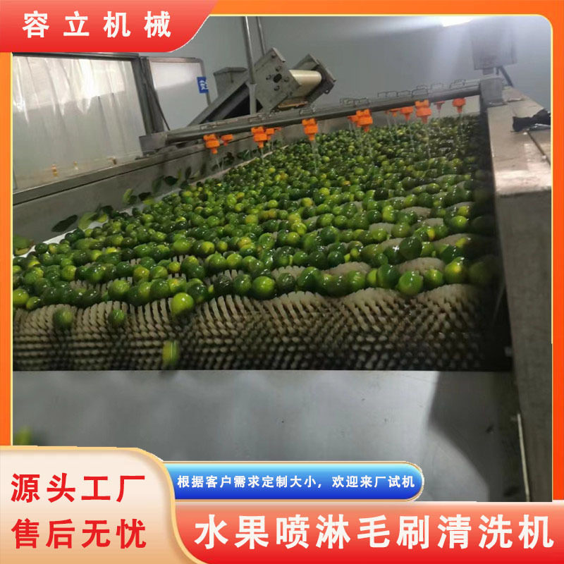 小金桔余甘子清洗机 高压喷淋式柠檬李子清洗去杂机 苹果打蜡机