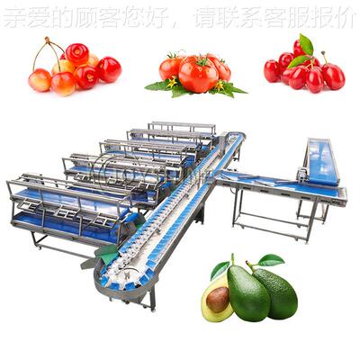 全自动称分选机 OSU水果级重重量分选机 自动重称分机