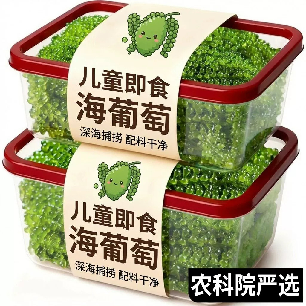 农科院！儿童海葡萄即食小孩吃的健康零食绿色鱼子酱新鲜盐渍凉拌