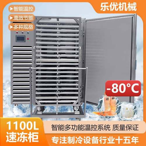 S金枪鱼带鱼大型果蔬面条速冻柜工厂直销低温冷冻设备机械压缩式