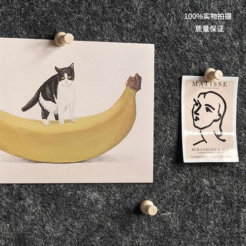 20颗/盒 木质图钉按压钉子软木板毛毡板留言板幼儿园大头钉工字钉